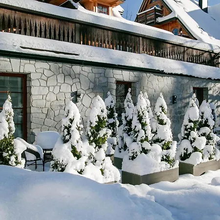 Gorskie Szczyty Apart & Spa Apartament 11 Sauna Jacuzzi I Parking W Cenie Zakopane Exterior photo