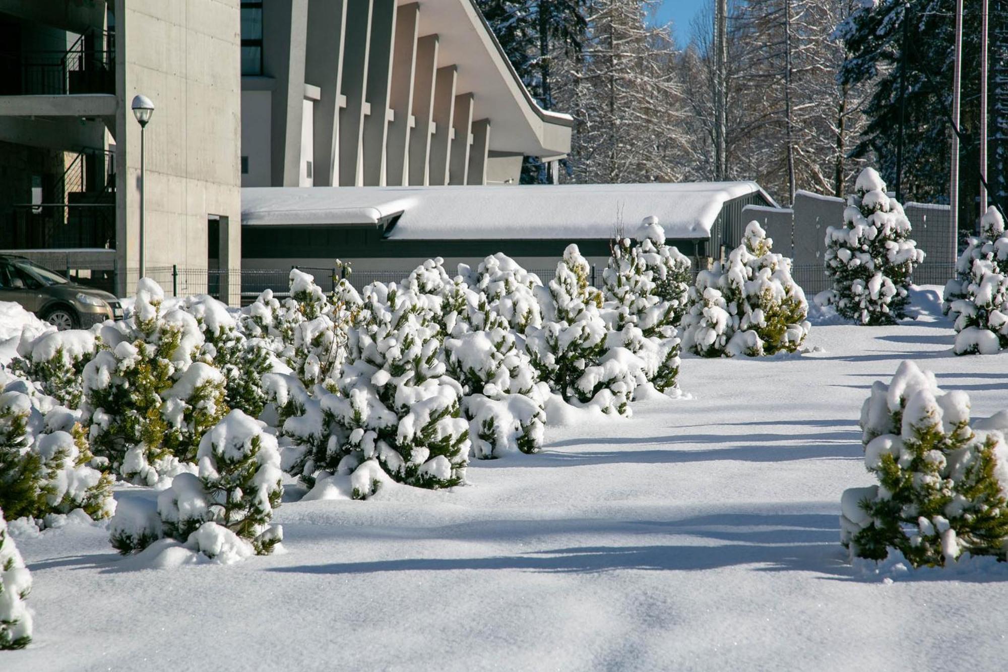 Apartment Gorskie Szczyty & 11 Sauna Jacuzzi I Parking W Cenie Zakopane